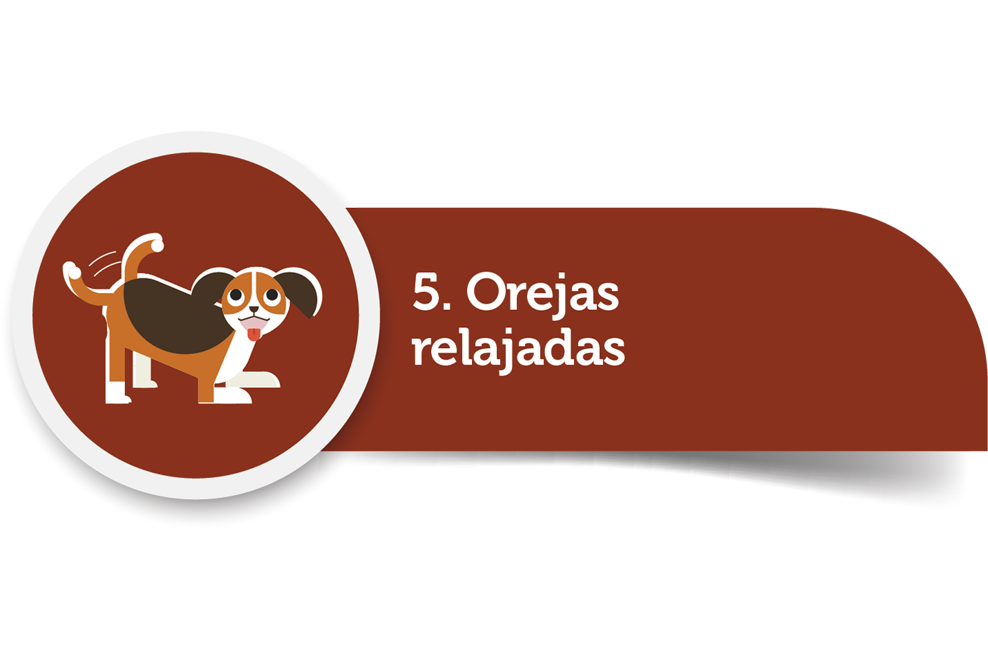 Imagen5.png